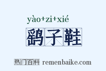 鹞子鞋是什么意思的图片